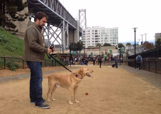 Rincon Hill Dog Park photo 1